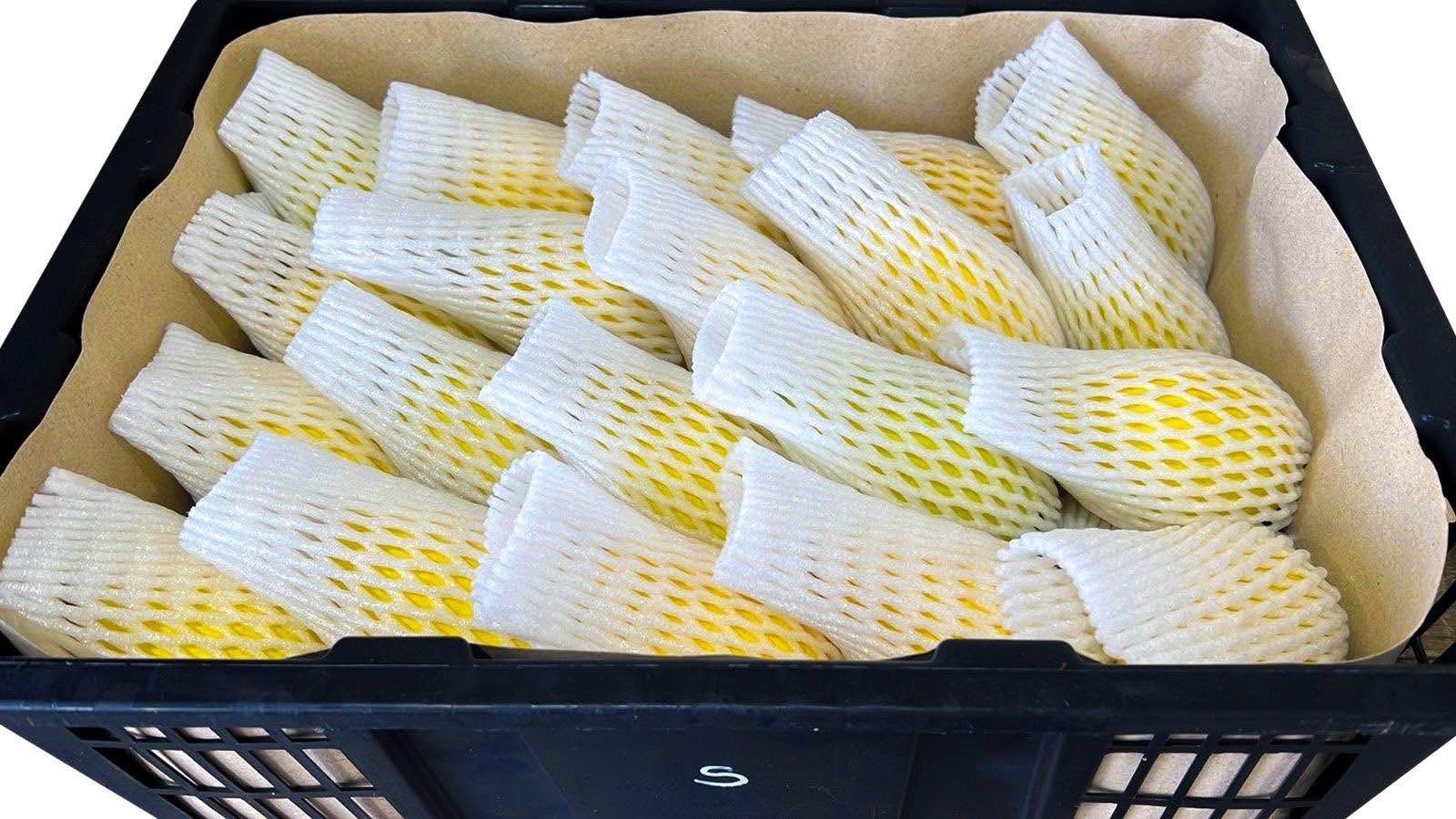 Mango Crate Ready for Delivery